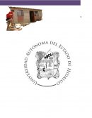 ENSAYO CASA POPULAR OCTAVO SEMESTRE GRUPO 2 | PALACIOS RAMÍREZ MAYRA ANGÉLICA