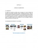 CAPITULO V CADENA DE SUMINISTROS