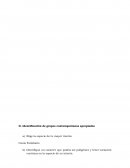 Identificación de grupos contemporáneos apropiados