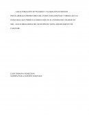 CARACTERIZACIÓN DE PELIGROS Y VALORACIÓN DE RIESGOS PSICOLABORALES PROMOTORES DEL ESTRES, PARA DISEÑAR Y FORMULAR UNA ESTRATEGIA QUE PERMITA SU REDUCCIÓN EN EL ENTORNO DEL TRABAJO EN SER – SALUD DROGUERÍAS DEL MUNICIPIO DE YOPAL DEPARTAMENTO DE CAS