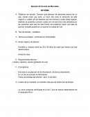 Ejemplo entrevista mercadeo