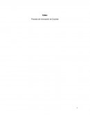 Proceso de Innovación de Cocinas