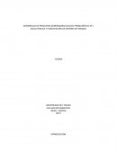 DESARROLLO DE PREGUNTAS GENERADORAS NUCLEO PROBLEMÁTICO N°1