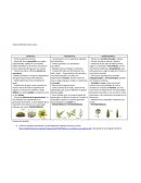 Briofitas, pteridofitas, gimnospermas