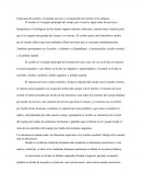 ENSAYO SOBRE PROCESOS NEUROFISIOLÓGICOS Y NEUROPSICOLOGICOS DEL APRENDIZAJE Y COMO INCIDEN EN EL DESARROLLO INTELECTUAL Y ESCOLAR DEL INFANTE