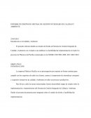 INFORME DE FACTIBILIDAD INDUSTRIA PLÁSTICO DEL PACÍFICO