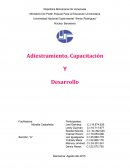 DETECCIÓN DE NECESIDADES DE ADIESTRAMIENTO