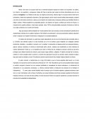 La colonizacion. INTRODUCCIÓN