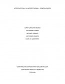 INTRODUCCION A LA MICROECONOMIA – GENERALIDADES