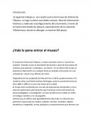 Reseña casa de los azulejos