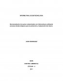Biorremediación de suelos contaminados con hidrocarburos utilizando procesos biotecnológicos para la protección y restauración del mismo.