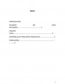 RESUMEN DEL CASO MITSUBISHI