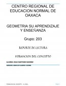 Ensayo geometria