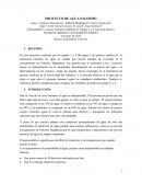 PROYECTO DE AGUA PALERMO