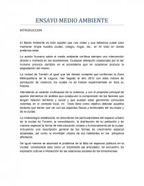 ENSAYO MEDIO AMBIENTE. Medio Ambiente es todo que nos rodea - Trabajos - rsda