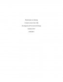 Investigación de accidentes