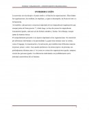 PERSONA Y ORGANIZACIÓN – COMPORTAMIENTO ORGANIZACIONAL