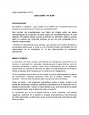 Como se da un Ensayo adiccion y cerebro/ adicciones y placer