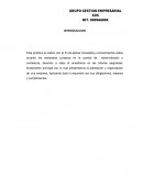 PRACTICA EMPRESARIAL Grupo Gestión Empresarial S.O.S Asistencia Empresarial – Salud Ocupacional