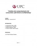 Análisis del comportamiento del consumidor y del entorno de marketing