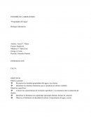 Propiedades del agua lab