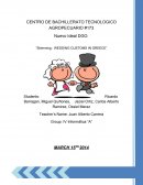 WEDDING CUSTOMS IN GREECE