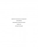 Gestión del Conocimiento en la Organización