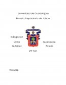 En esta indagación se muestra el significado de conceptos que son parte de lo que veremos en la unidad de aprendizaje ya que están relacionados con la biología