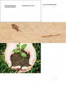 Vulnerabilidad del sector agrícola