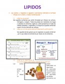 Lipidos Contenido ¿Qué es una grasa?
