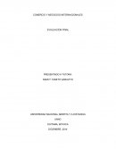 Evaluación final, comercio y negocios internacionales
