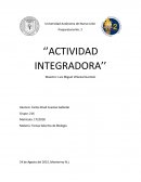 ¿Cómo funciona? ¿En dónde se ubica?