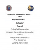 Características de procesador móviles