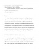 ELEMENTOS PARA UN LABORATORIO