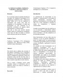La vigilancia tecnológica, Inteligencia Competitiva y Minería de Datos en América latina