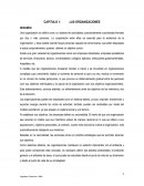 RESUMEN SOBRE LAS ORGANIZACIONES