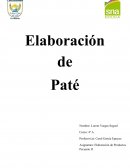 Pauta de evaluacion