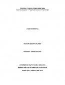 Como es que Existe la alternativa de fusionarse con la empresa DAFE TEXTILERA S.A.