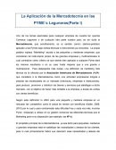 La Aplicación de la Mercadotecnia en las Pyme´s Laguneras