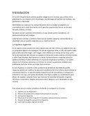 La hipótesis sugerente