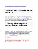 Causas y Efectos de la Contaminación del Agua