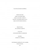 En que consiste una Gestion de una empresa