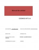 Manual de calidad