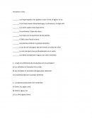 Guía Ciencias Naturales. Verdadero o Falso