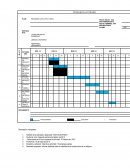 CRONOGRAMA ACTIVIDADES