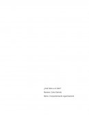 Revisemos la real a la importancia de cada uno de estos componentes en la estructura organizacional.