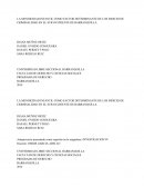 LA MENDICIDAD INFANTIL COMO FACTOR DETERMINANTE DE LOS INDICES DE CRIMINALIDAD EN EL SUR OCCIDENTE DE BARRANQUILLA