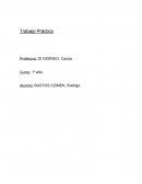 ¿A que se llaman huertas orgánicas?