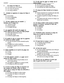 libro conejo de felpa