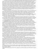 Una guía histórica y política de “El Matadero”